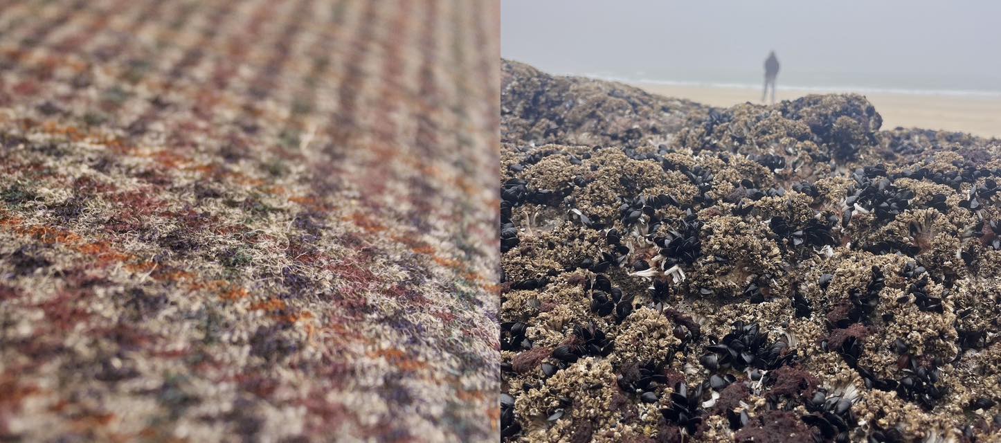 Harris Tweed coast barnacles