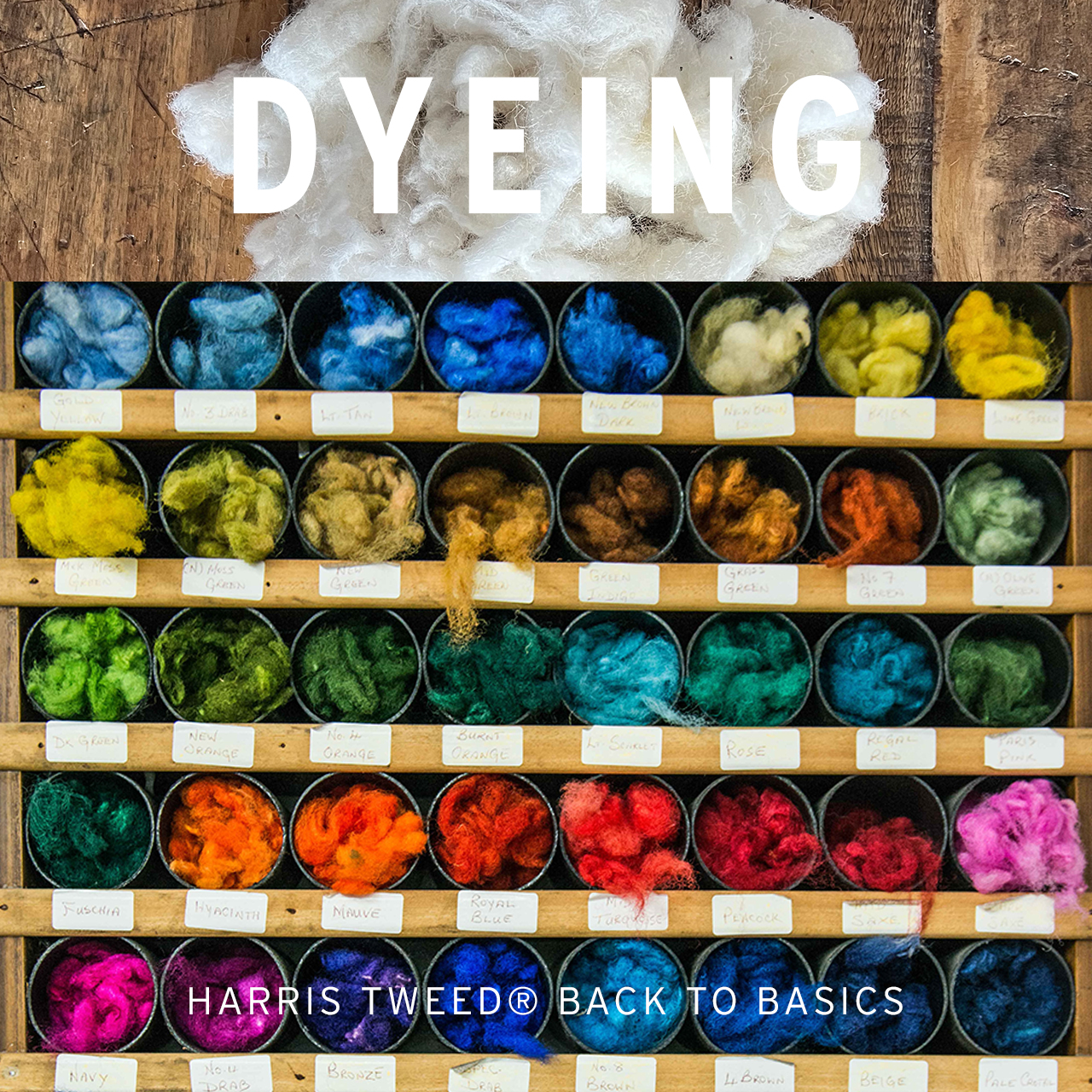 Back to basics series - day 3 - Dyeing 2