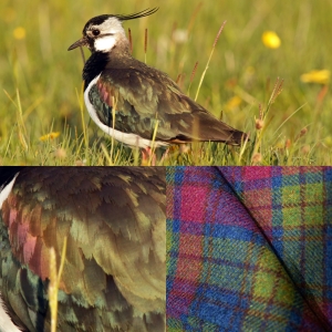 Harris Tweed RSPB birds tweed series