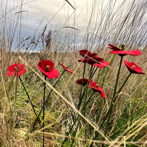 Harris Tweed Poppy