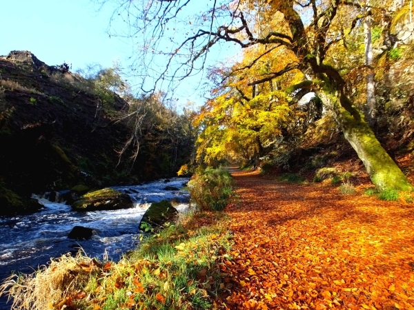 Autumn River Creed