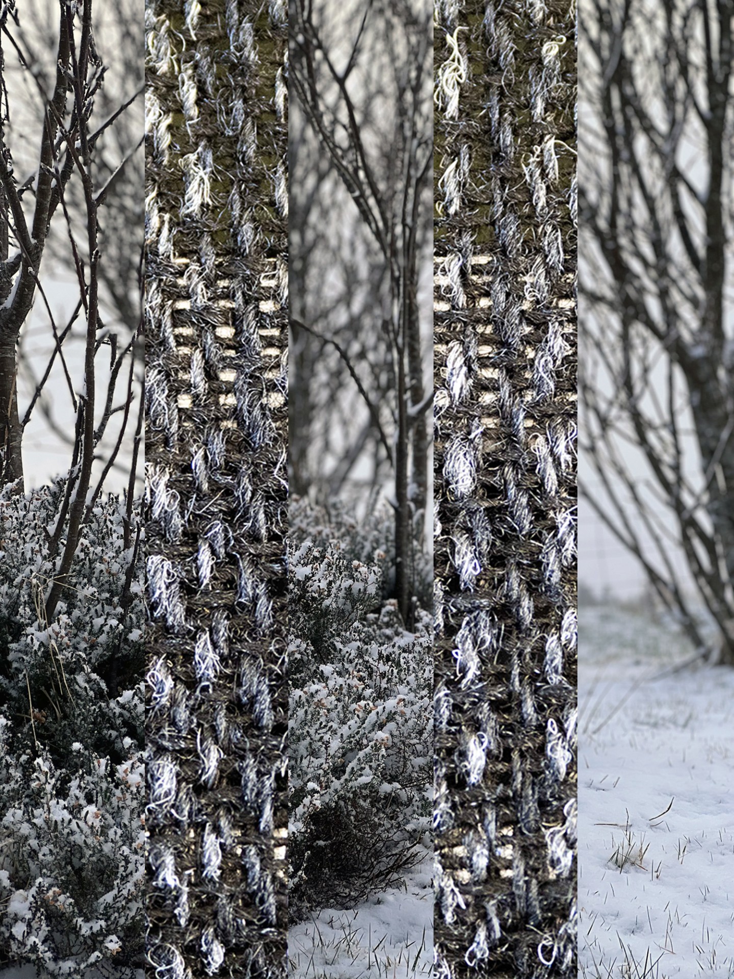 Harris tweed snow trees