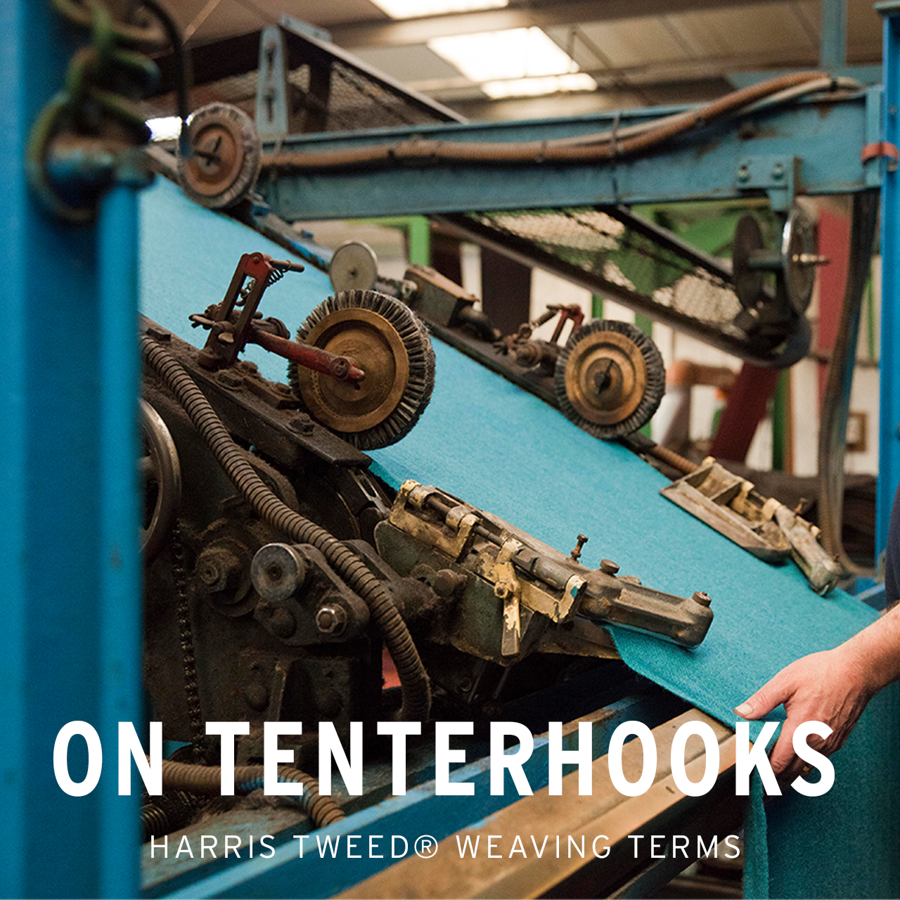 Harris tweed tenterhooks