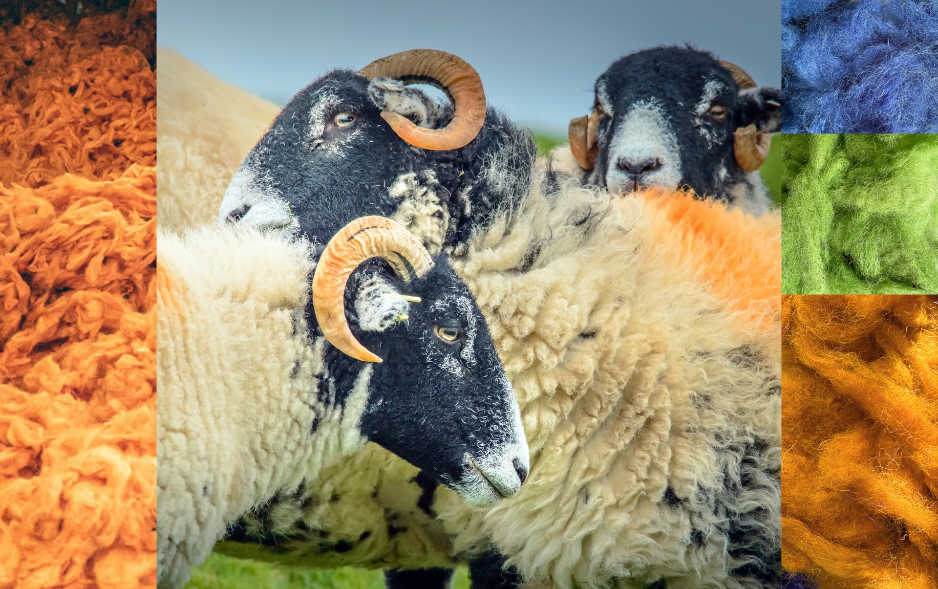 Harris tweed wool colours moodboard