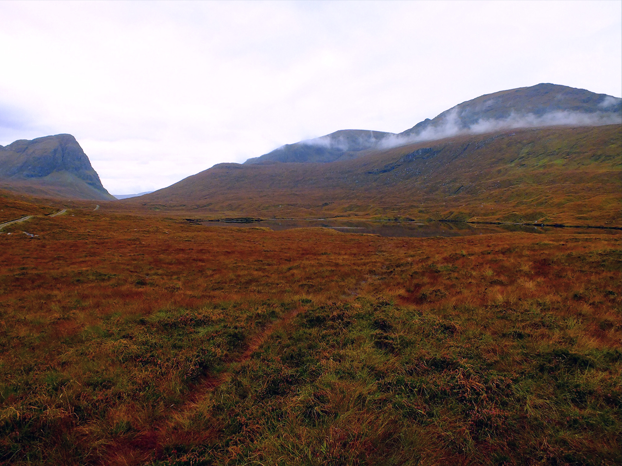 Harris tweed rolling hills heather moor