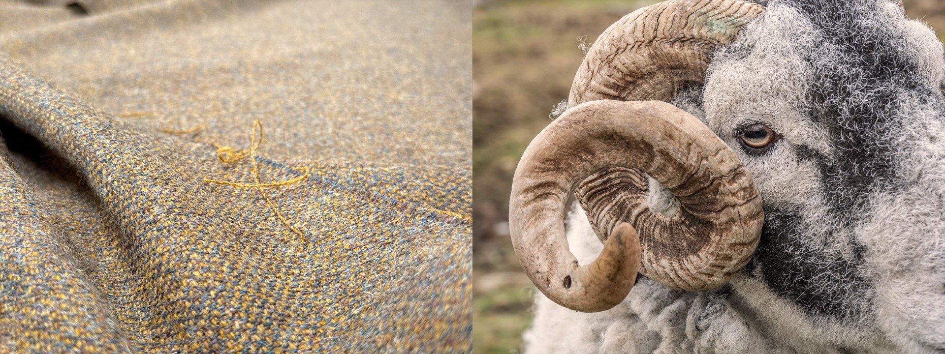 Harris tweed kenneth mackenzie ram details