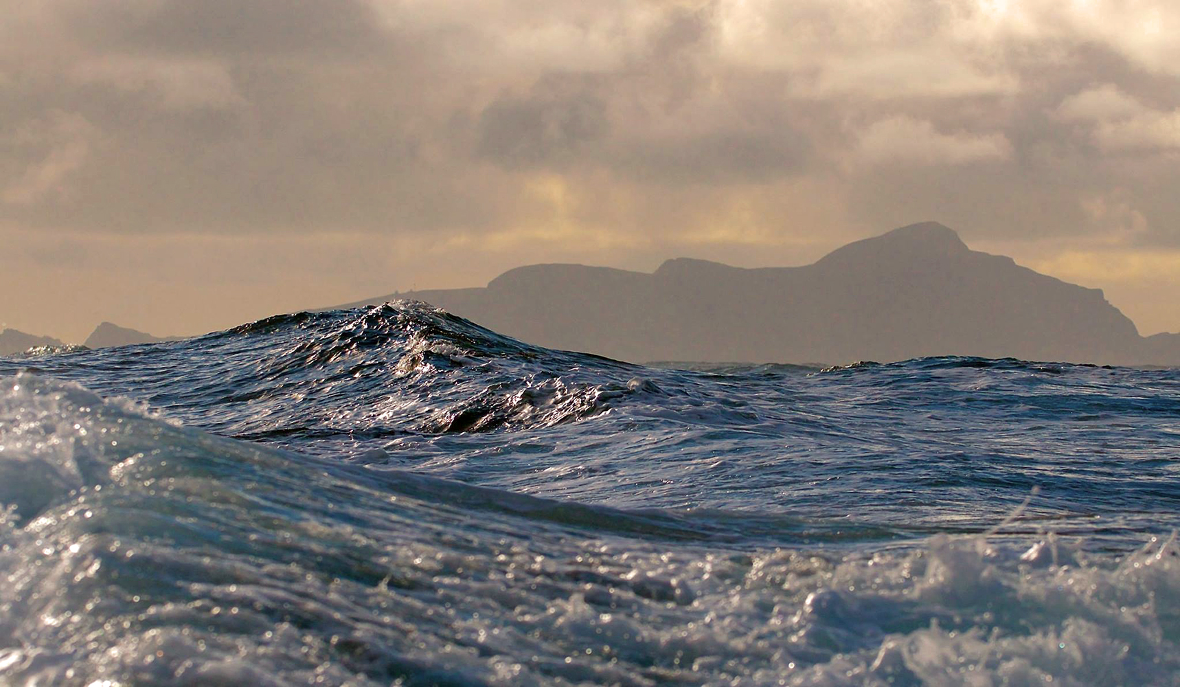 Harris tweed st kilda waves