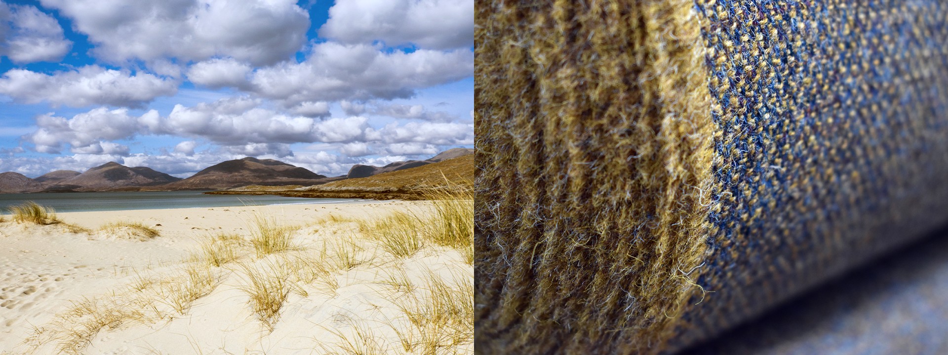 Harris tweed Golden windswept dunes