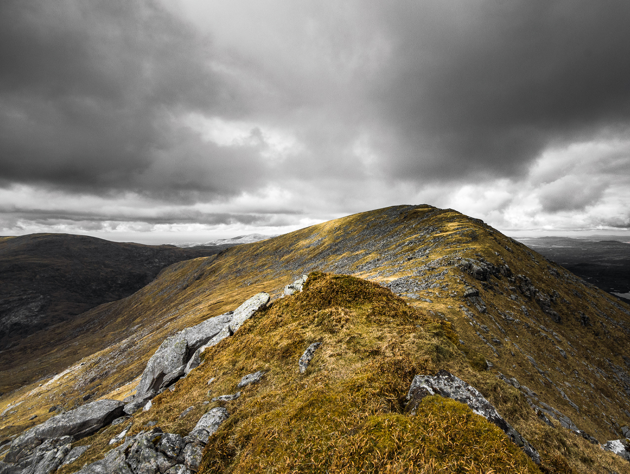 Harris tweed hills lewis mackenzie