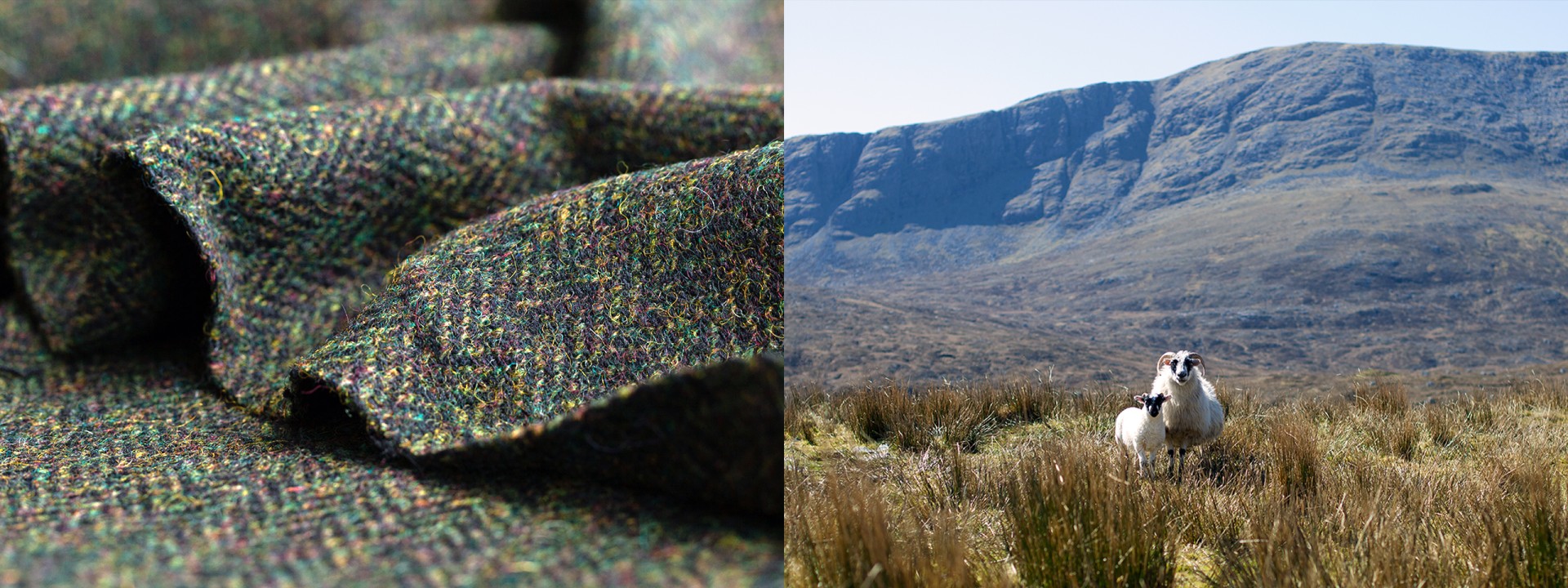 Harris Tweed moorland colours