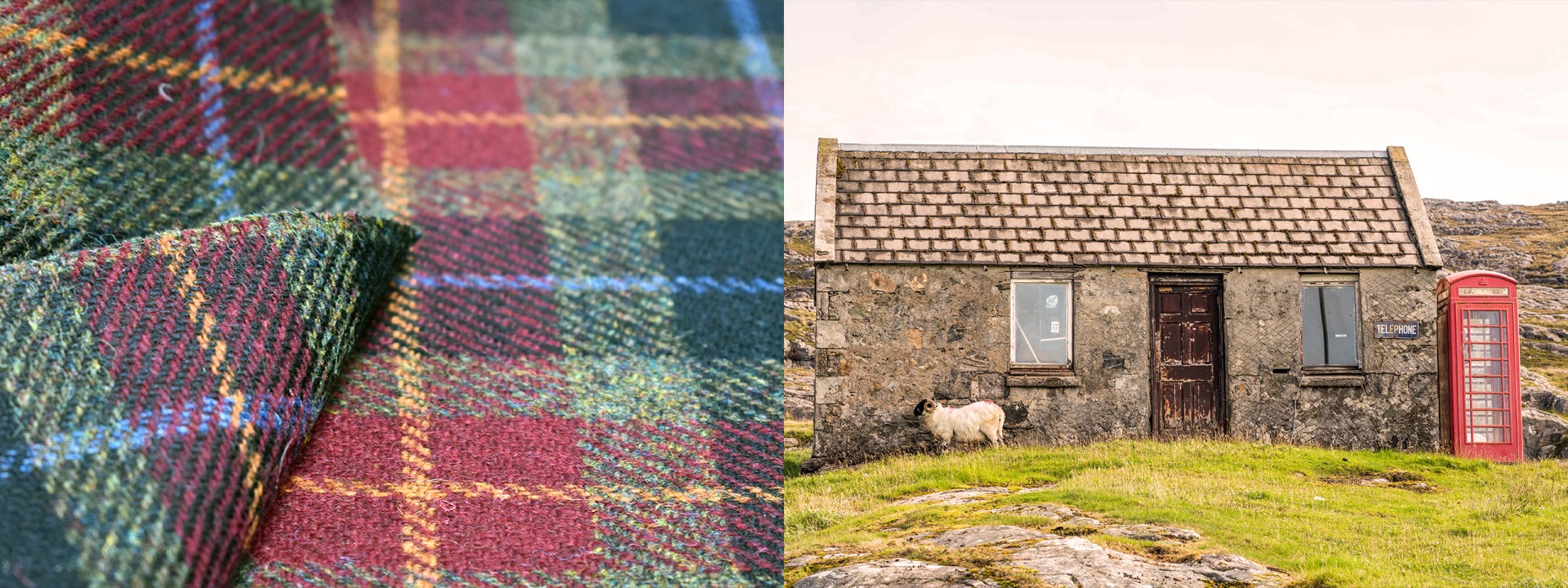 Harris Tweed sheep blending