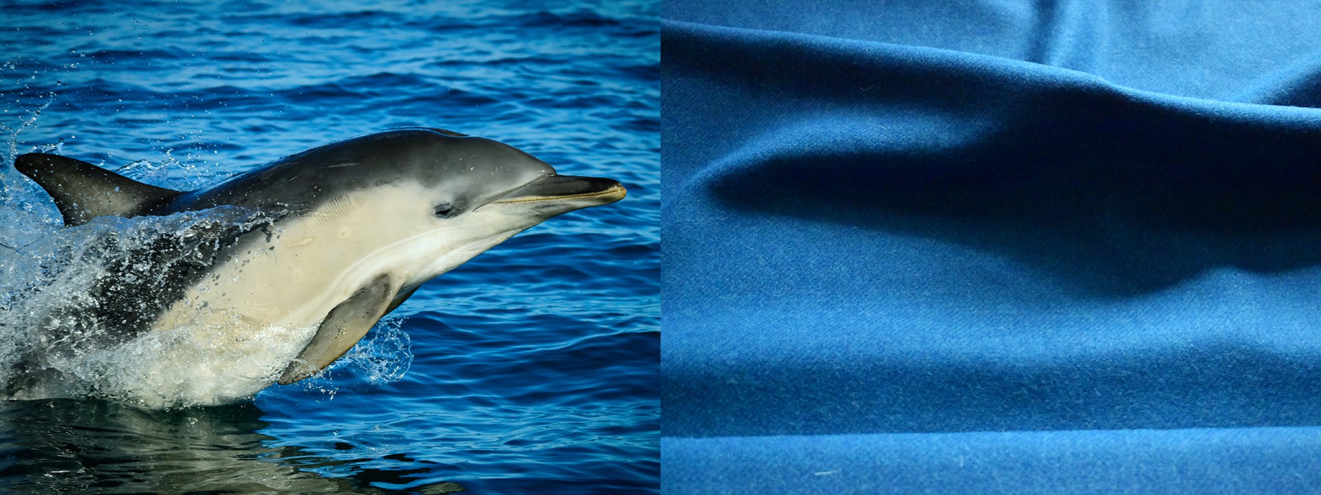 Harris tweed sea dolphin blues