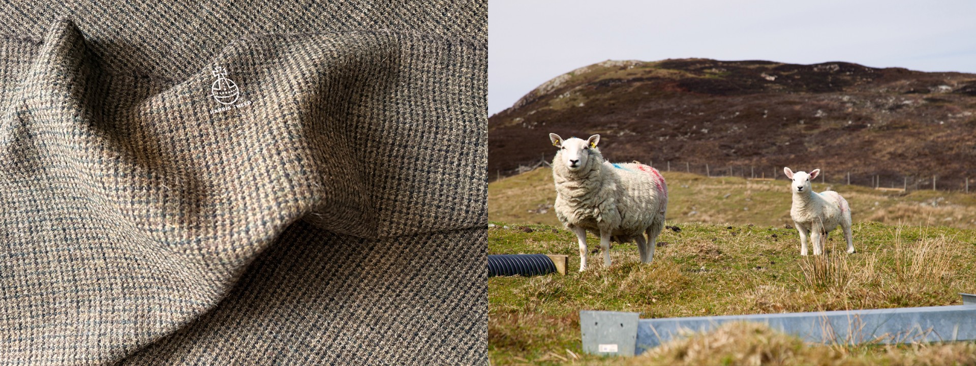 Harris tweed hebrides sheep hills
