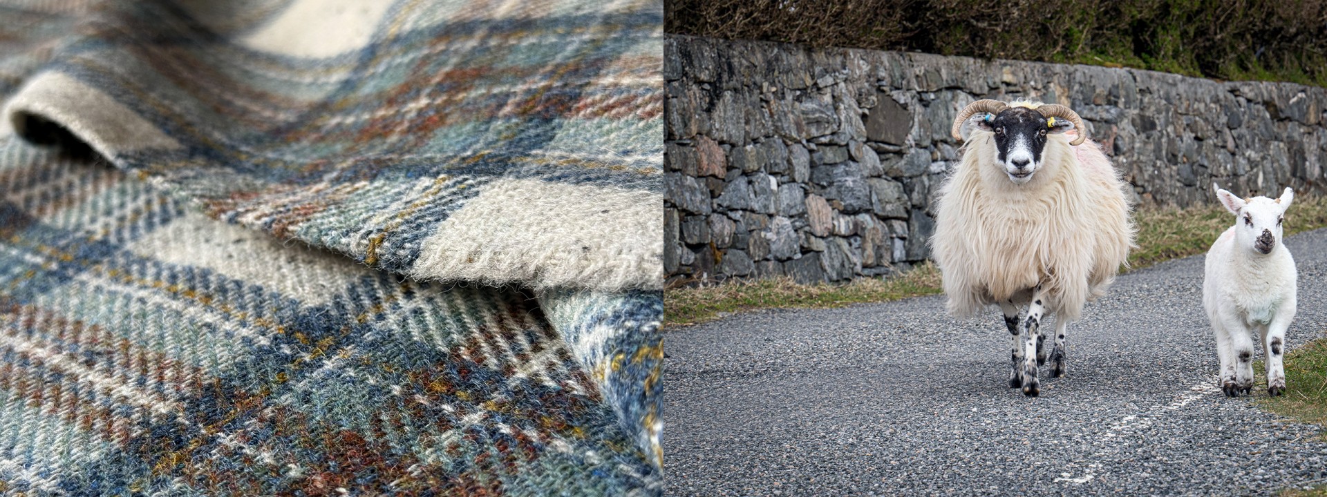 Harris tweed sheep village