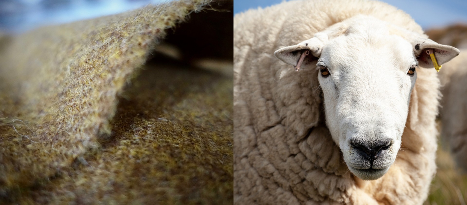 Harris tweed cosy cheviot cloth