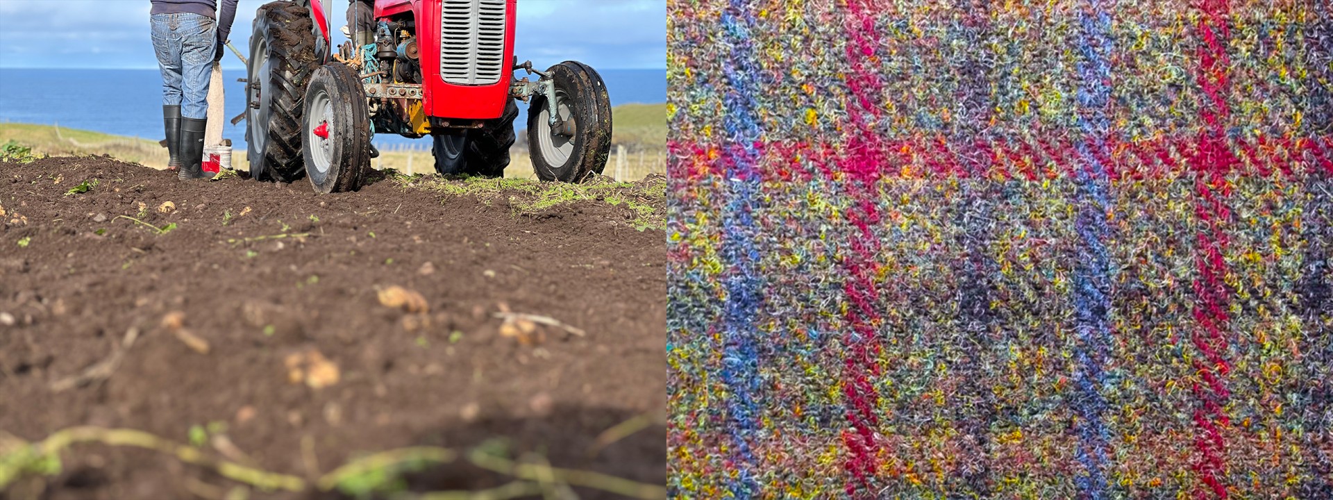 Harris Tweed crofting potatoes coast tractor