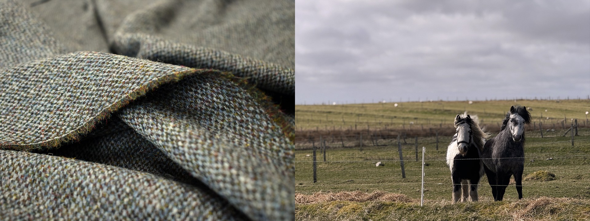 Harris tweed kenneth mackenzie horses
