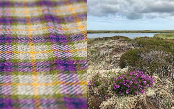 Harris Tweed purple heather 