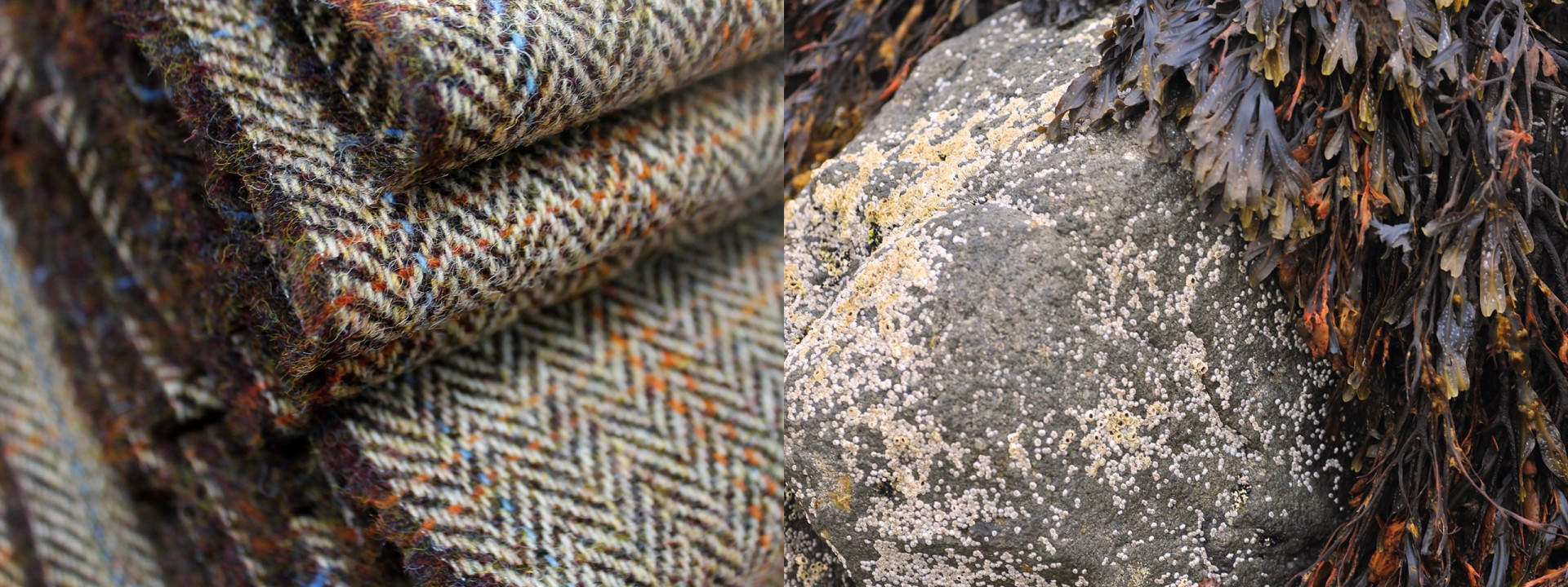Harris tweed seaweed atlantic