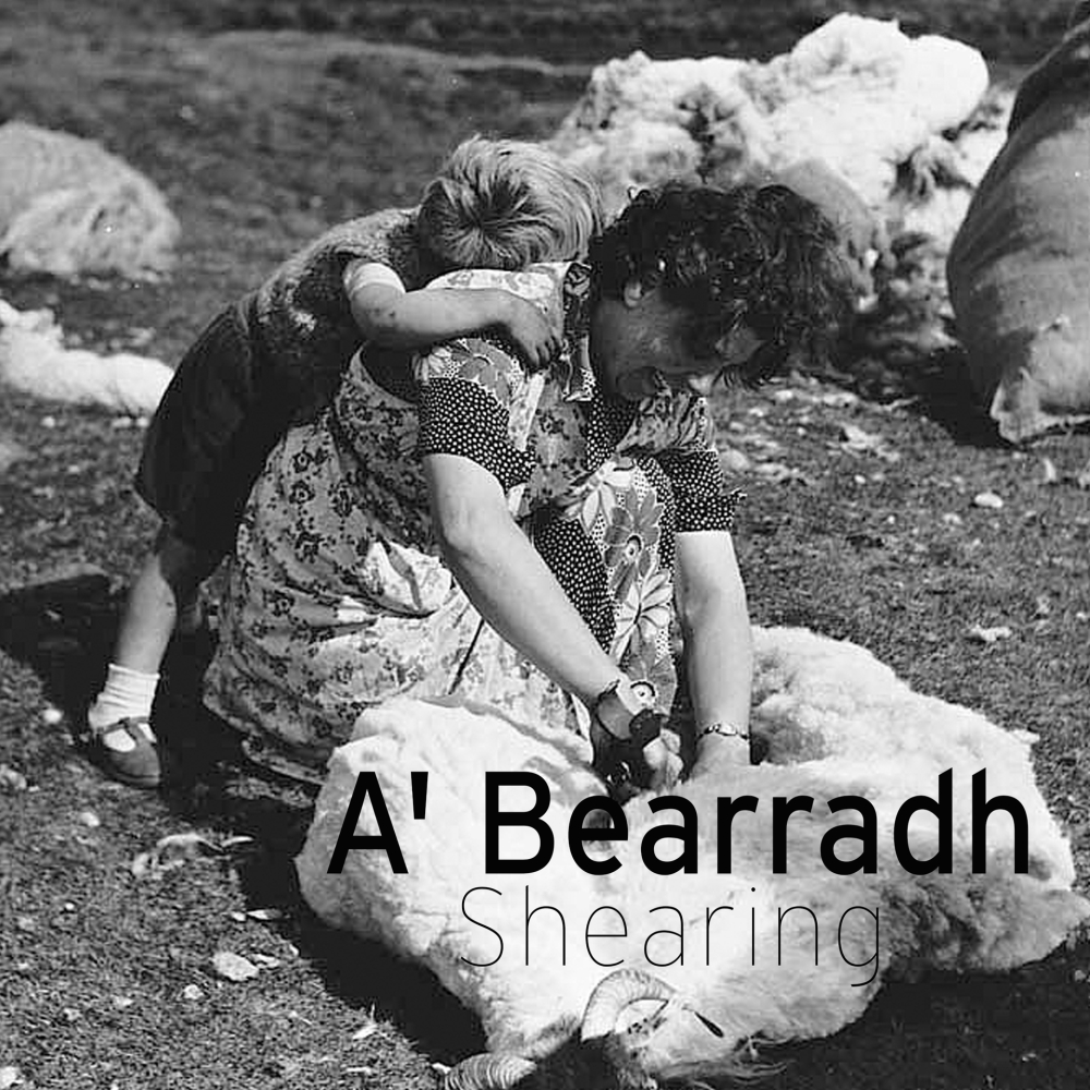 harris tweed authority archive image shearing word of the week gaelic