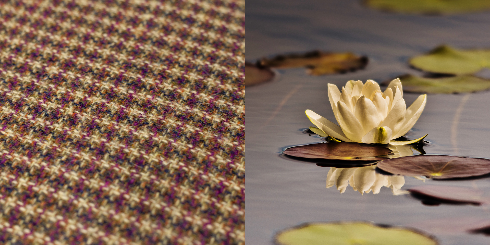 Hidden Depths The Harris Tweed Authority