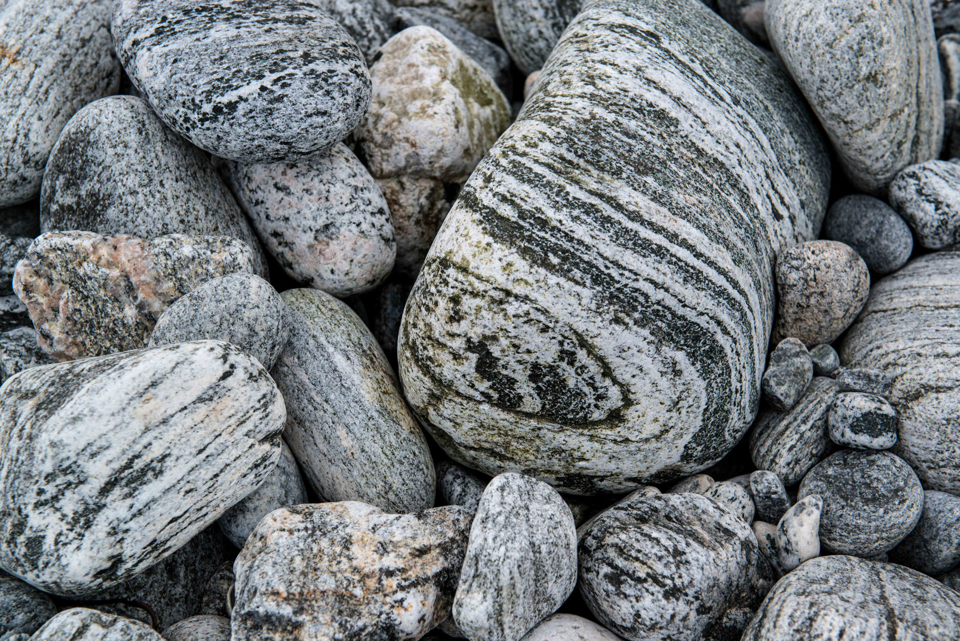 harris tweed authority beach boulders janet miles 