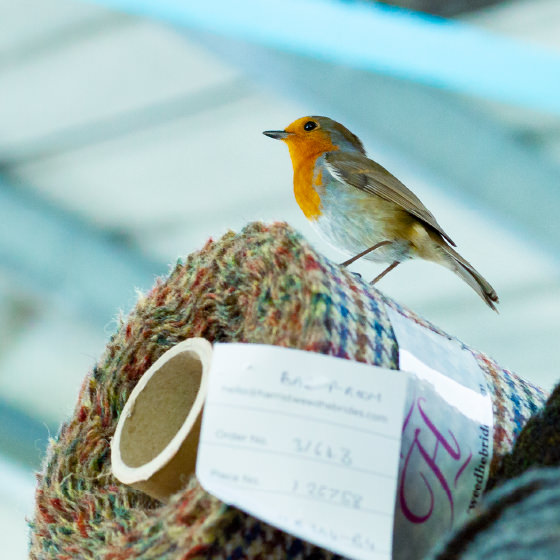 harris-tweed-authority-xmas-cards-3-robin-560px