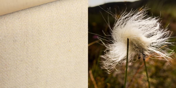 harris_tweed_authority_colour-match-bog-cotton-lewis-mackenzie