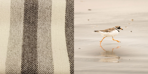 harris_tweed_authority_colour-match-western-isles-designs-lewis-mackenzie-photography-ringed-plover